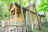 В Саратове за 81 миллион рублей продают особняк с белорусскими кедрами